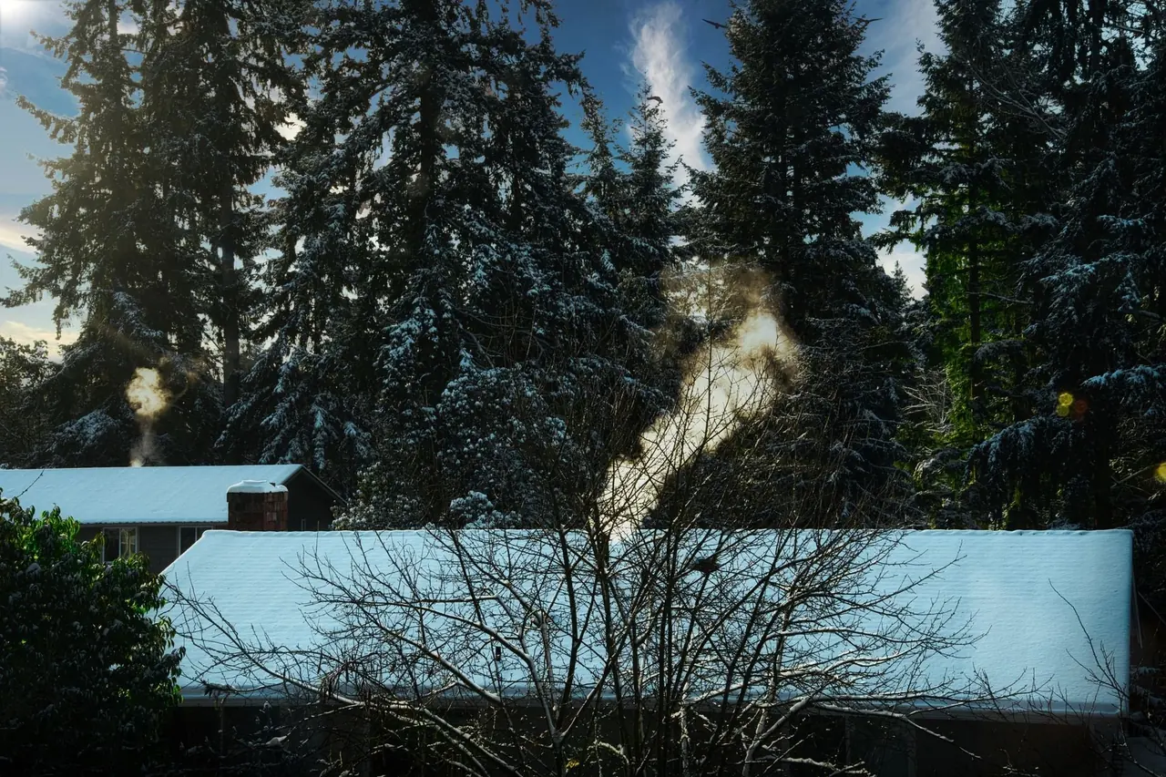 Toits enneigés et fumée de cheminées entre les sapins par temps froid
