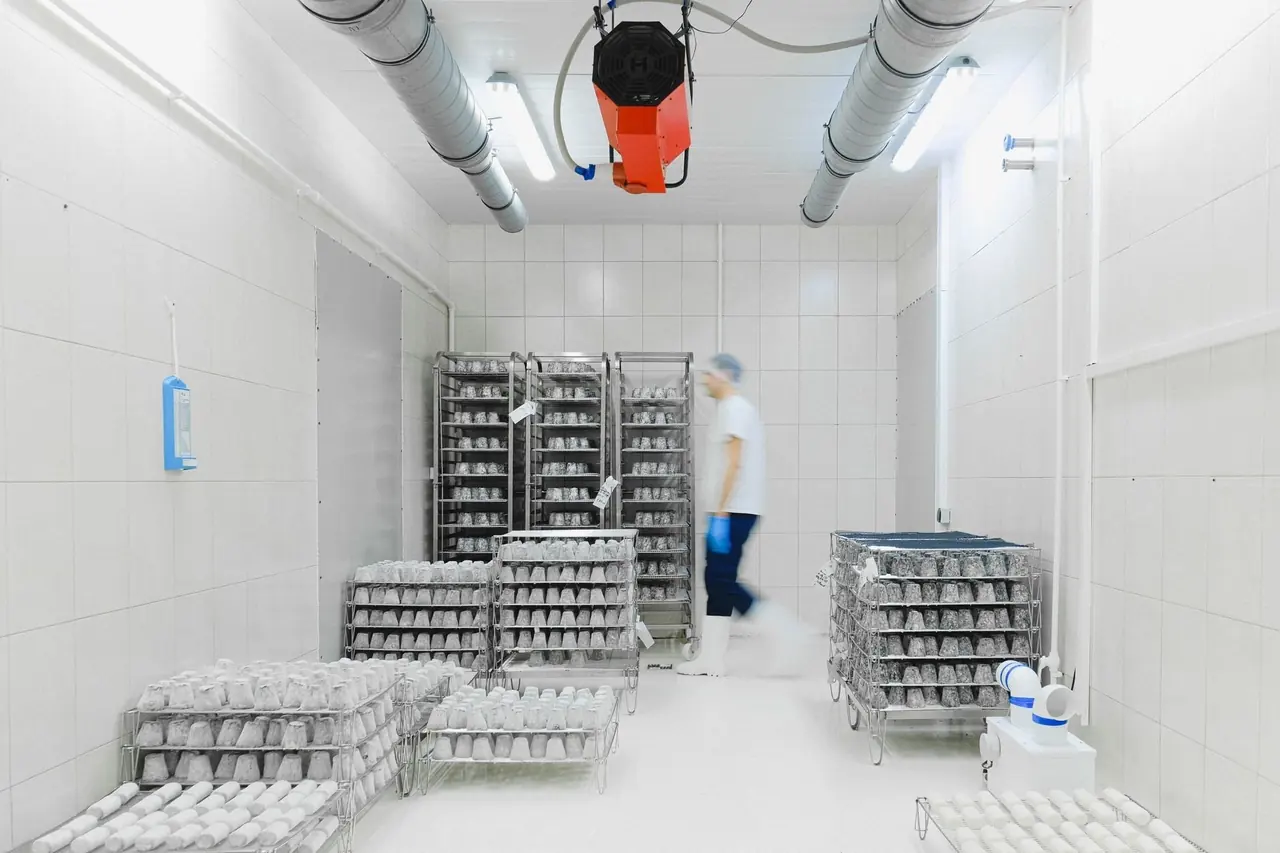 Chambre froide blanche avec étagères et évaporateur au plafond